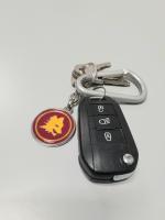 CS1171/2025 CAR KEYS
